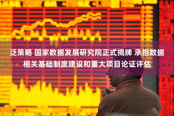 泛策略 国家数据发展研究院正式揭牌 承担数据相关基础制度建设和重大项目论证评估