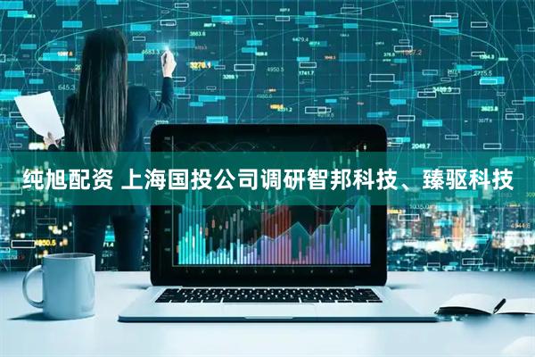 纯旭配资 上海国投公司调研智邦科技、臻驱科技