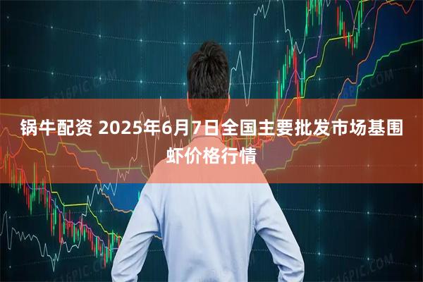 锅牛配资 2025年6月7日全国主要批发市场基围虾价格行情