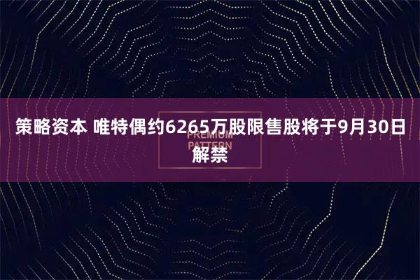 策略资本 唯特偶约6265万股限售股将于9月30日解禁